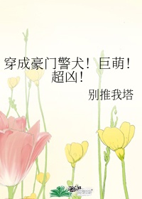 蜜橘APP剧情介绍