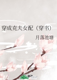 人偶师剧情介绍