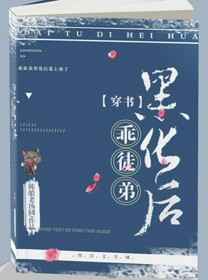 漆黑的魅影5.0攻略二周目剧情介绍