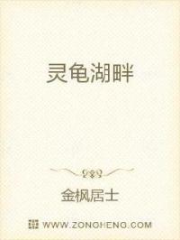 包青天之开封奇案2024金超群版剧情介绍