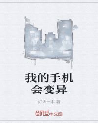 湖南张丽剧情介绍