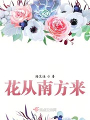 黄瓜视频ios下载剧情介绍