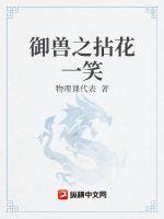 夏天九皇子司马兰穿越小说免费阅读剧情介绍