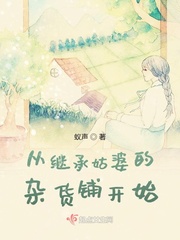 蜗居 小说剧情介绍