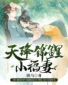 变形金刚4:绝迹重生剧情介绍