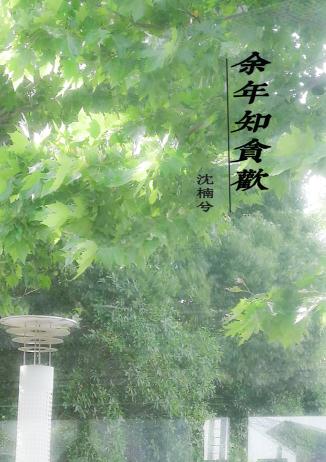 乡村教师的荒唐情史剧情介绍