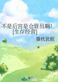 岳飞传评书在线收听剧情介绍