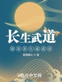 西顿照明官方网站剧情介绍