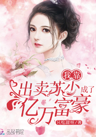 网红刘婷完整版 播放剧情介绍