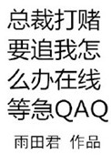 新党章全文内容剧情介绍