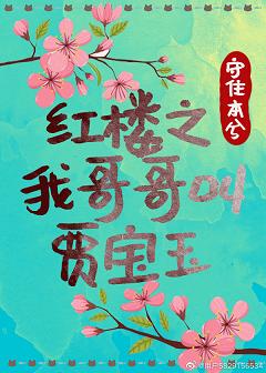 romance在线播放免费完整版剧情介绍