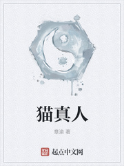 绝命毒师第三季剧情介绍