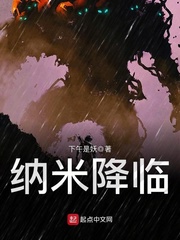 电视剧《雪豹》全集免费剧情介绍