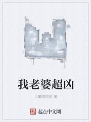 隐形将军剧情分集介绍剧情介绍