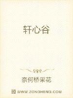 法国艳妇剧情介绍