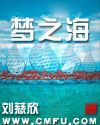 少年阿兵宾小说阅读36剧情介绍