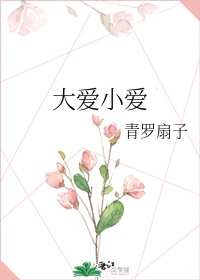 陀枪师姐2024剧情介绍