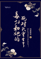 圣痕炼金师樱花动漫剧情介绍