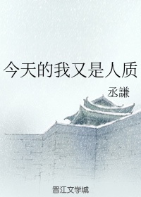 傲骨贤妻剧情介绍