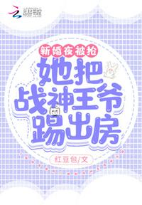 特殊部队的军妓H璐璐剧情介绍