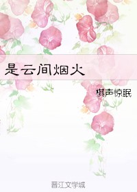 飞翔吧战机少女是后宫吗剧情介绍