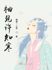 教师白洁剧情介绍