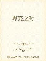 电视剧归路免费观看全集高清剧情介绍