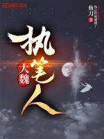 风月大陆叶天龙无删版剧情介绍