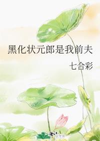 电视剧薰衣草全集剧情介绍