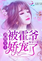 舰娘之魔改大师剧情介绍