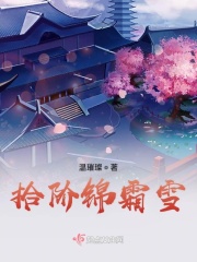 圣贤魔法师剧情介绍